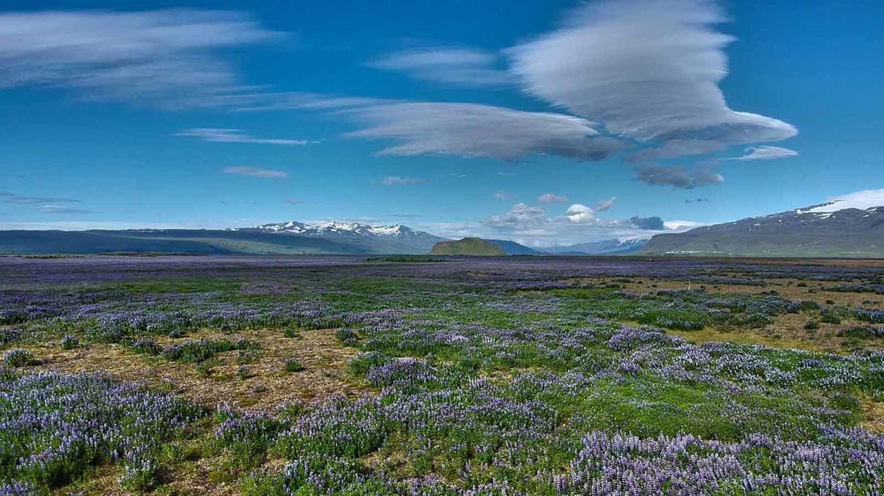 Hotel Selja Hvolsvollur Luaran gambar